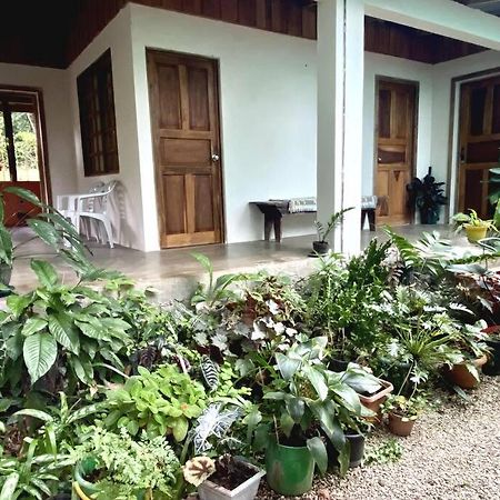 Casa Briza Guest House Nicoya Luaran gambar