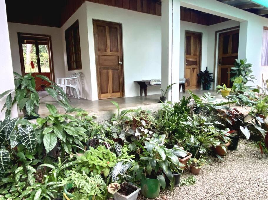 Casa Briza Guest House Nicoya Luaran gambar