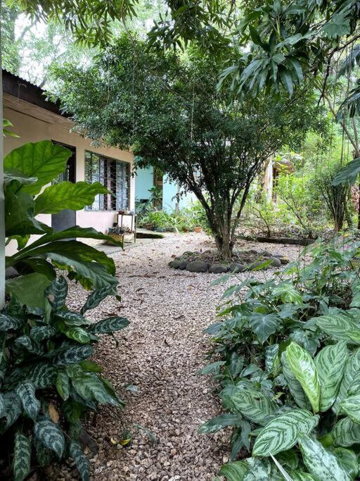 Casa Briza Guest House Nicoya Luaran gambar